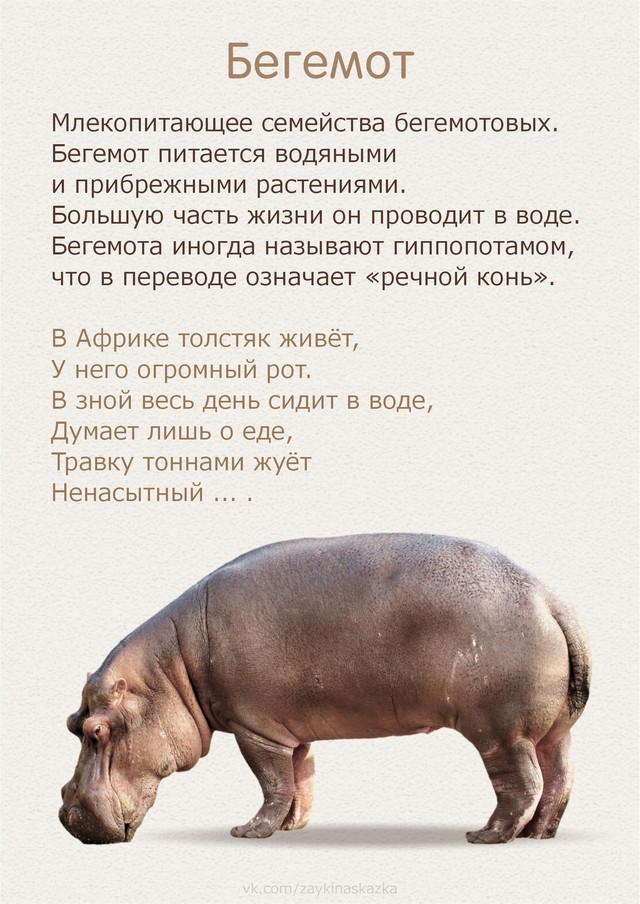 foto 2025 07 16 14 51 008