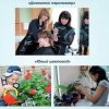 Деятельность учреждения
