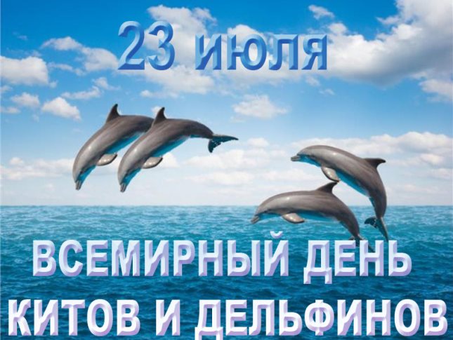 f208eabe e4a6 47ed 91e9 90ab9fded3d0