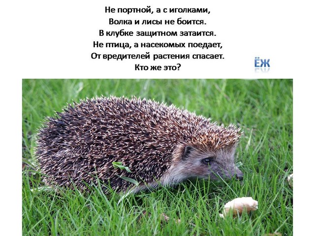 1 15