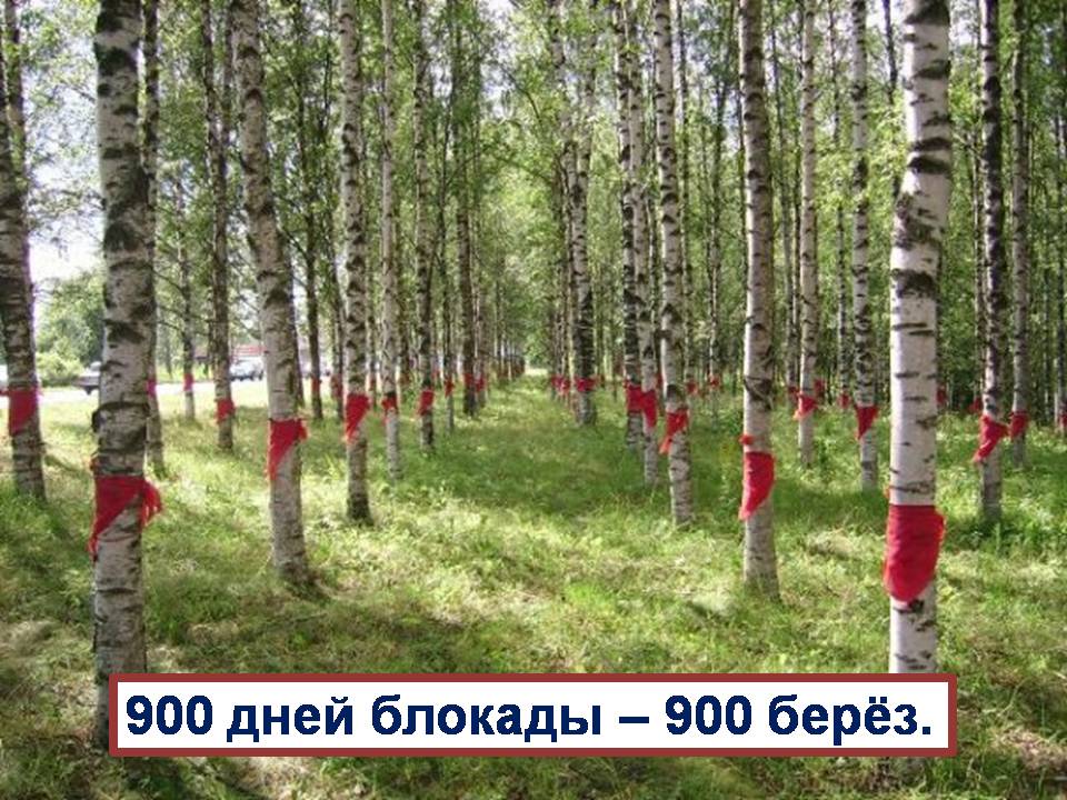 Слайд27