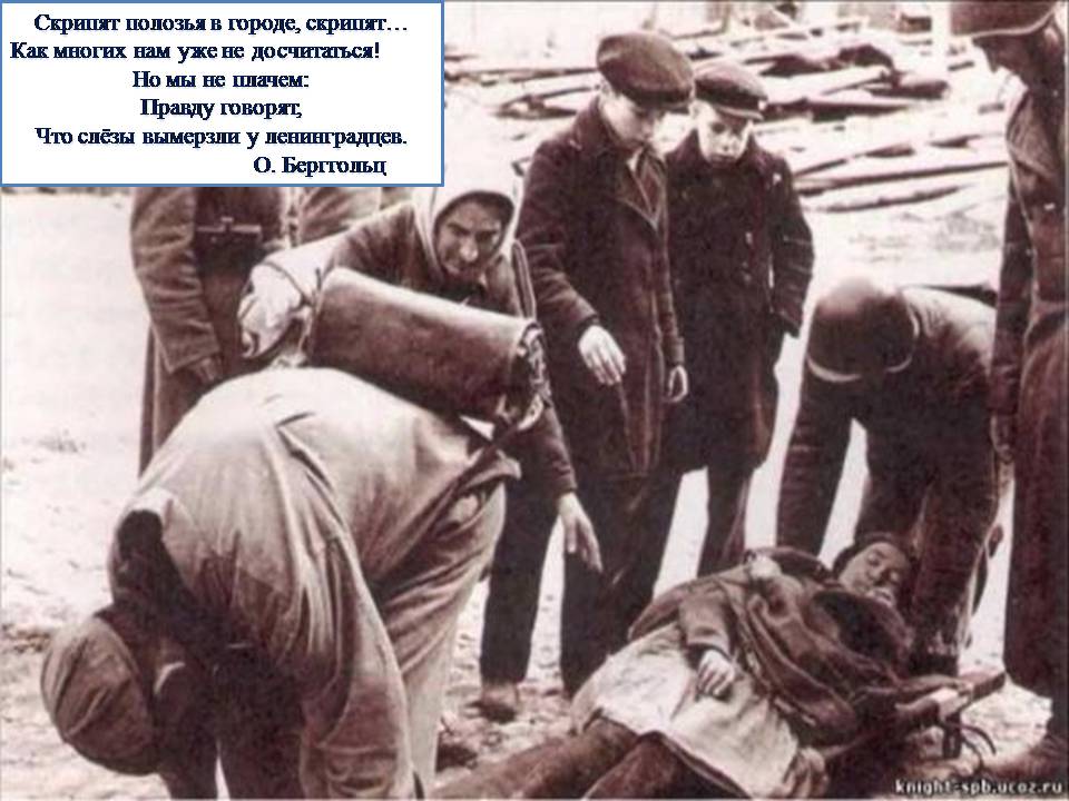 Слайд6