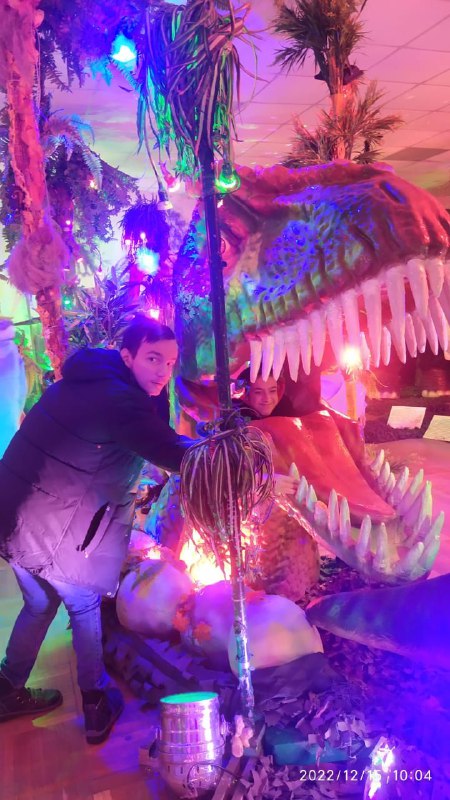 dino 4