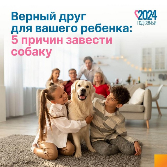 foto 2024 03 15 16 29 001
