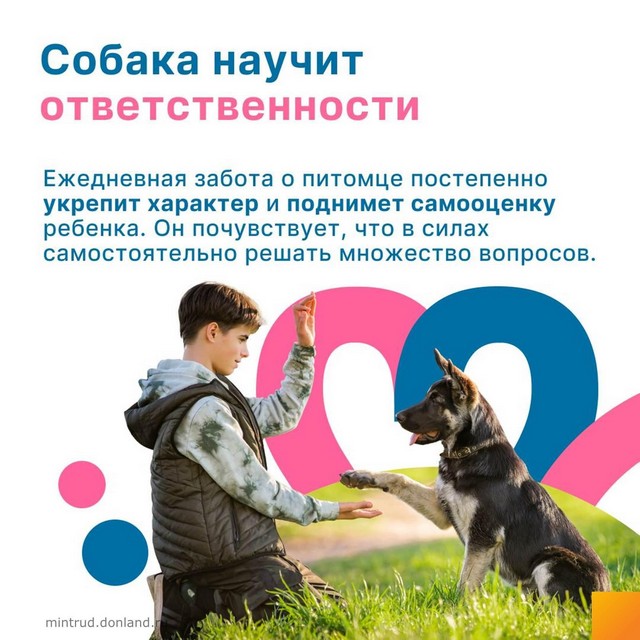 foto 2024 03 15 16 29 002