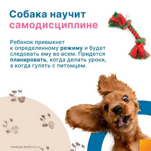 foto 2024 03 15 16 29 003