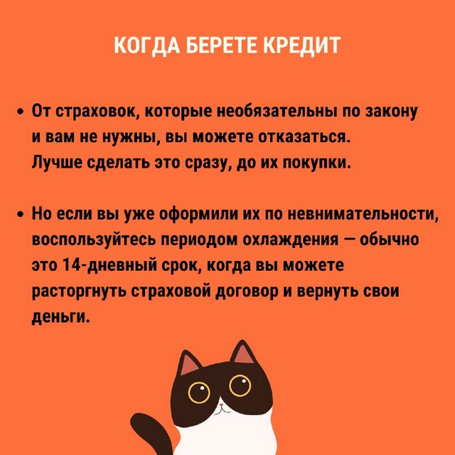 foto 2024 03 29 15 13 007
