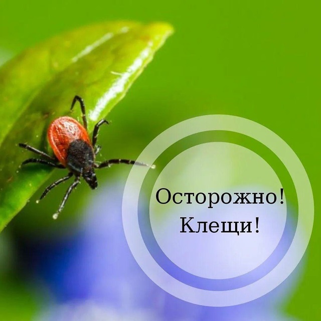 Foto 06 05 2024 15 07