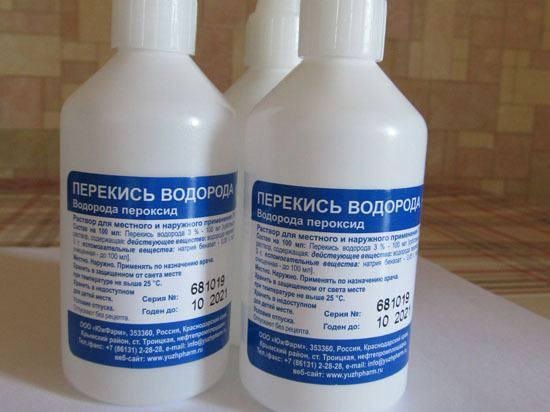 foto 2024 05 13 18 08