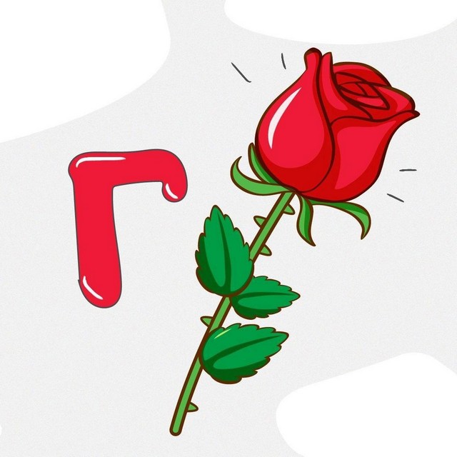 rebysi 6