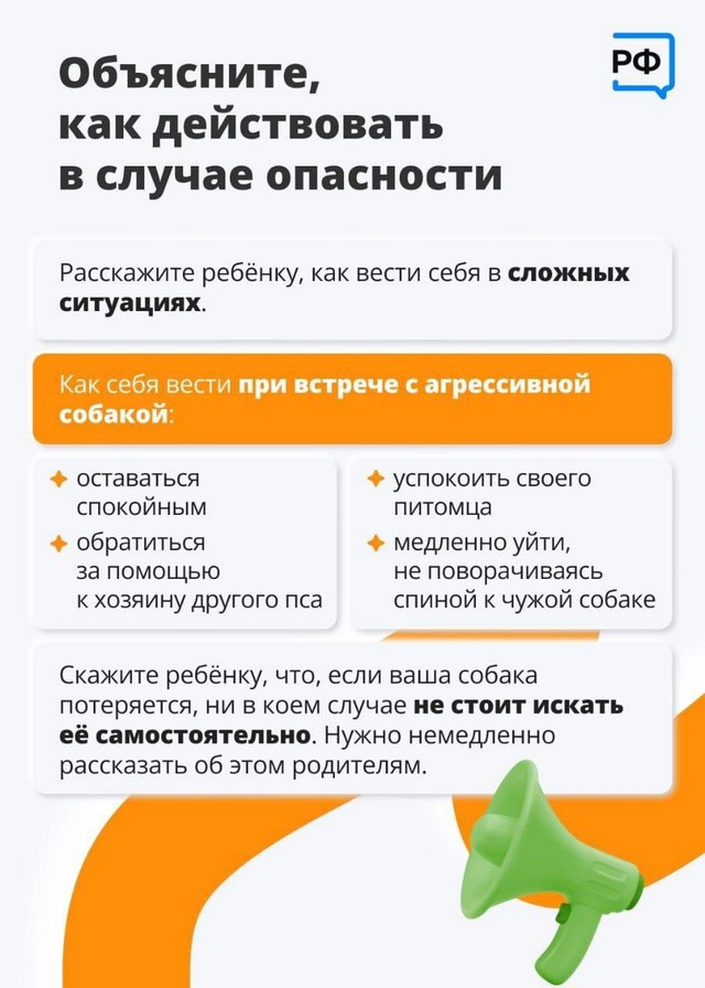 foto 2024 08 27 09 01 006