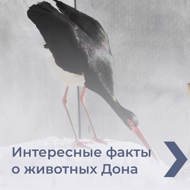 foto 2024 12 19 17 31 1