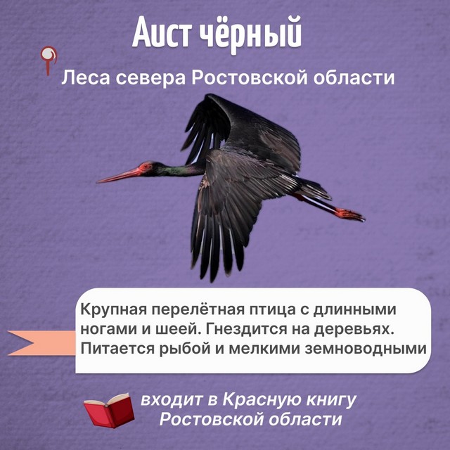 Foto 2025 02 17 20 48 001