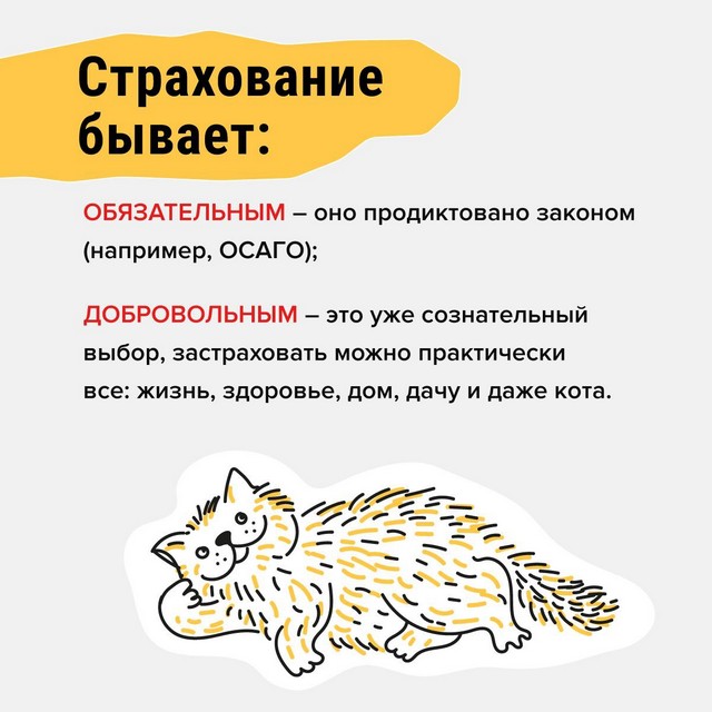 foto 2025 03 11 11 04 2