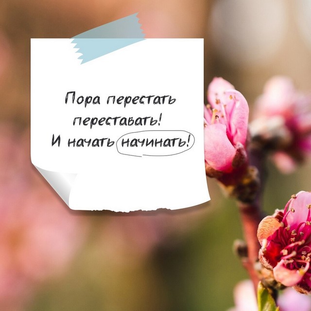 foto 2025 03 12 09 43 004