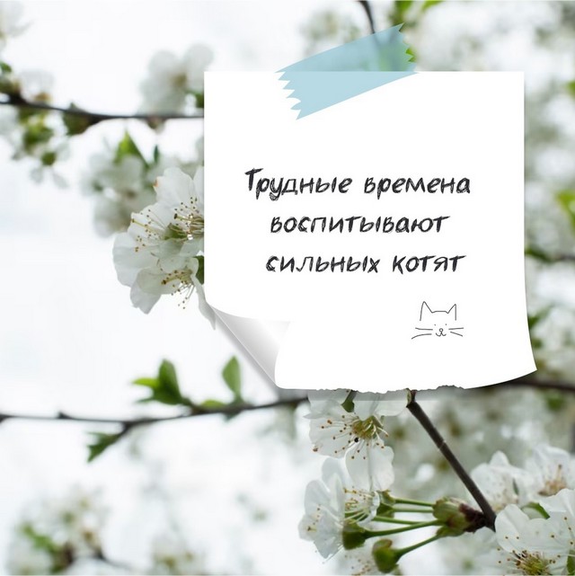 foto 2025 03 12 09 43 005