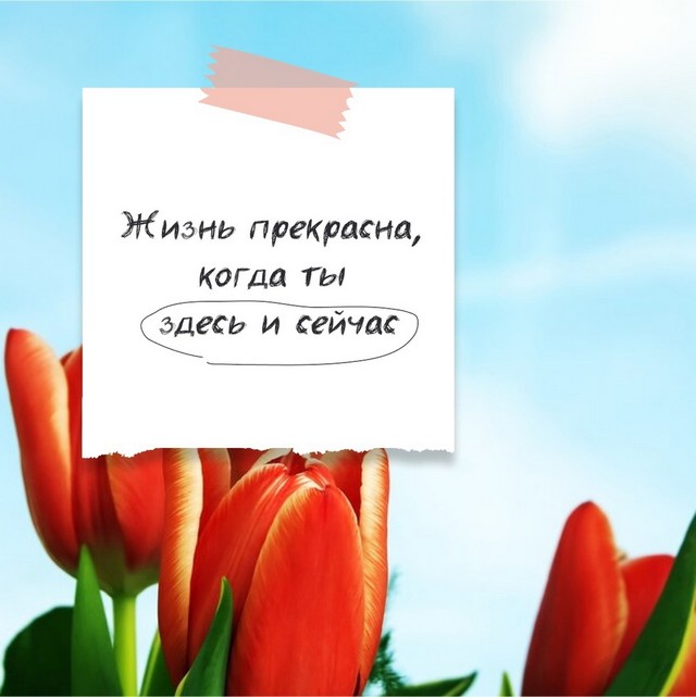 foto 2025 03 12 09 43 006