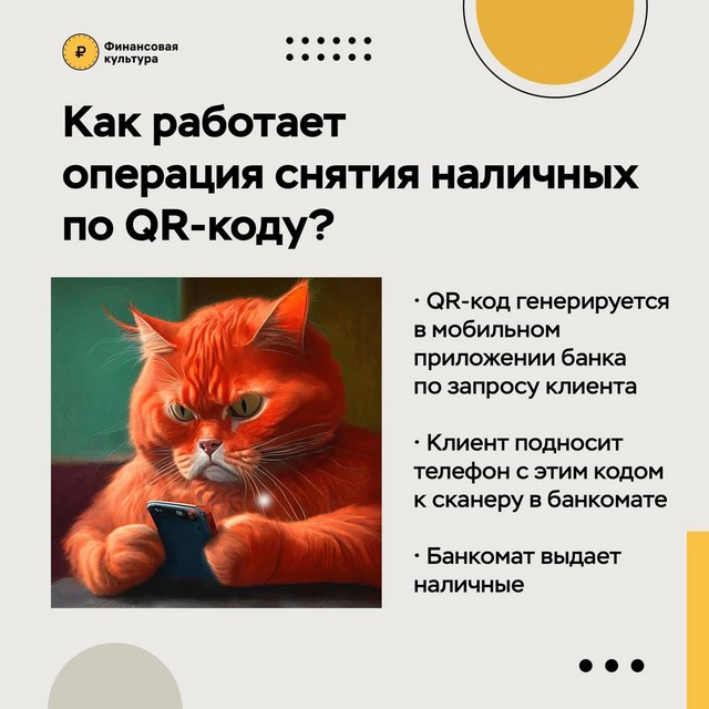 foto 2025 03 12 09 47 003