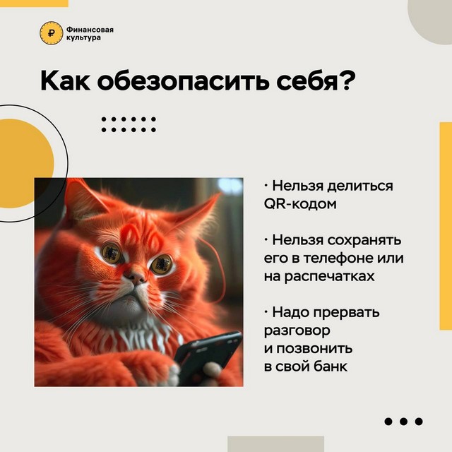 foto 2025 03 12 09 47 005