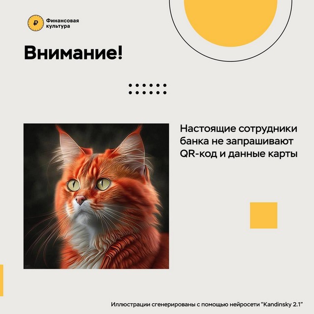 foto 2025 03 12 09 47 006