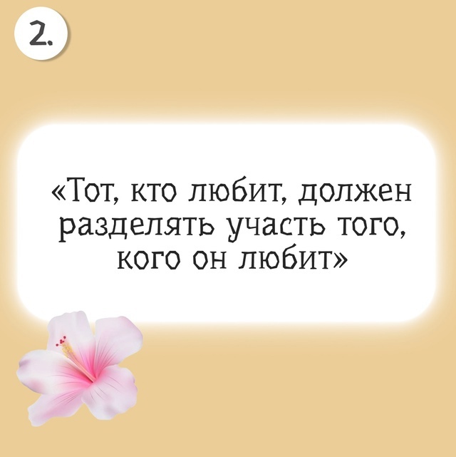 foto 2025 03 28 11 18 002
