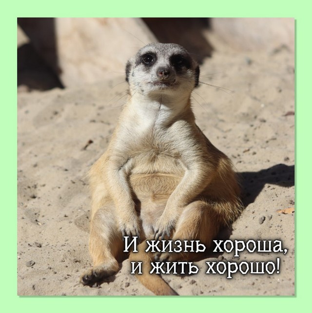 img 0403 06