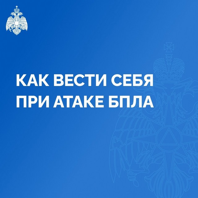 foto 2025 04 07 16 39 001