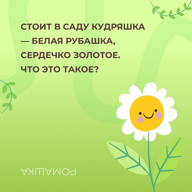 foto 2025 04 09 14 35 001