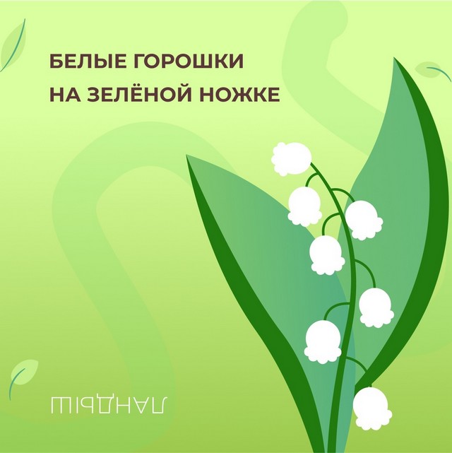 foto 2025 04 09 14 35 002