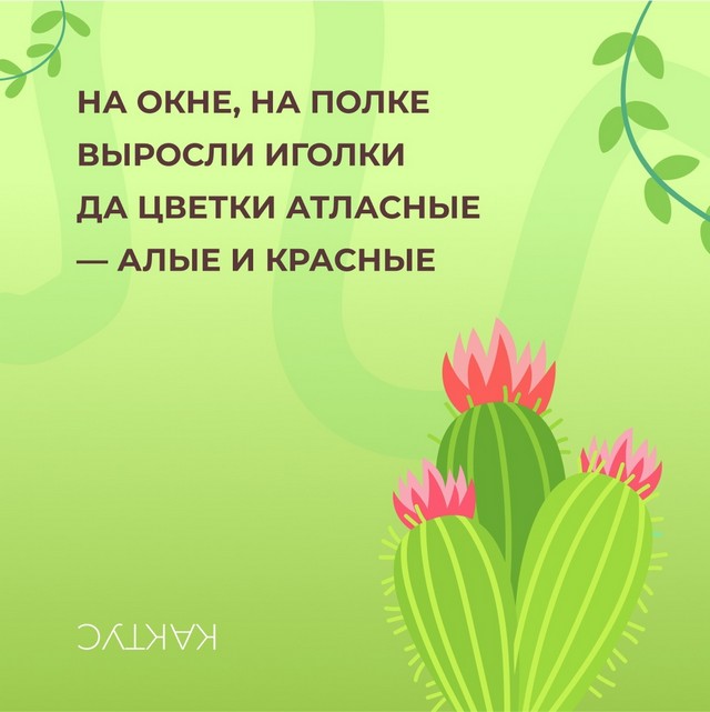 foto 2025 04 09 14 35 003