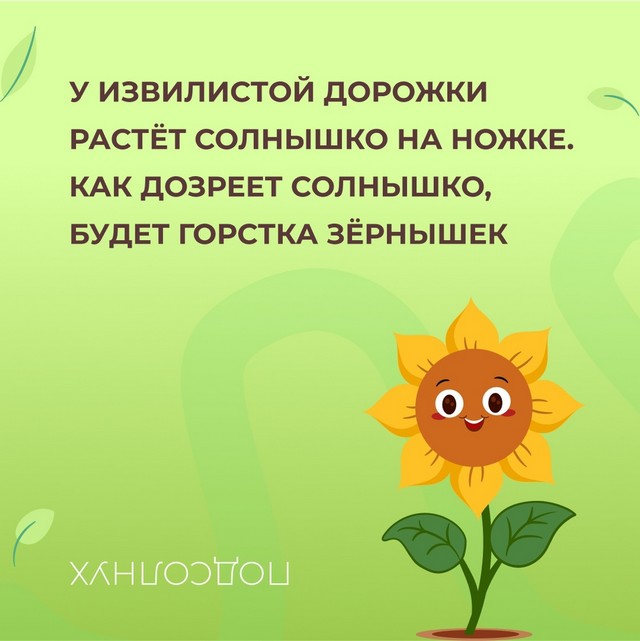 foto 2025 04 09 14 35 004