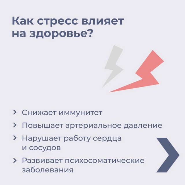 foto 2025 04 24 11 17 3