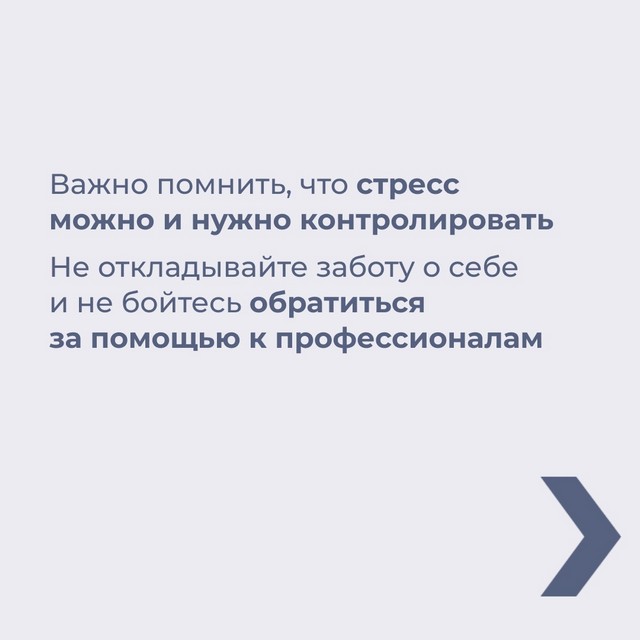 foto 2025 04 24 11 17 6