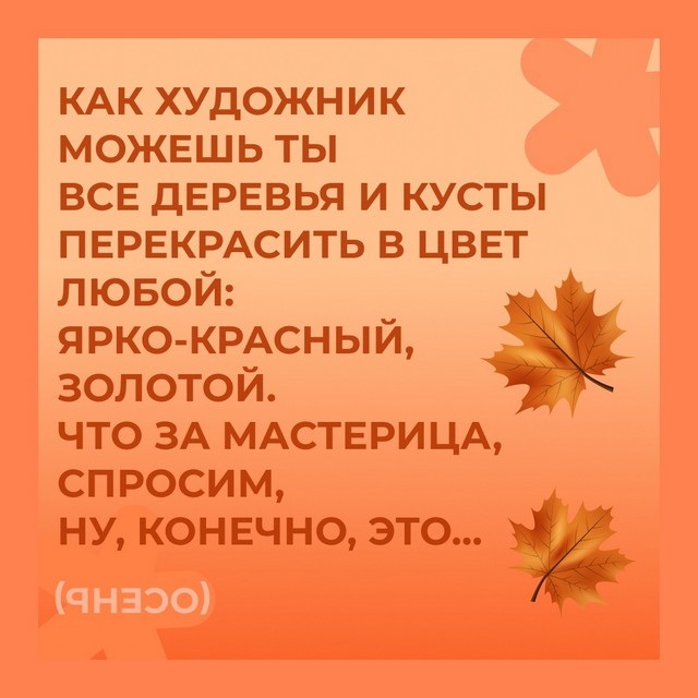 foto 2025 05 05 11 29 4