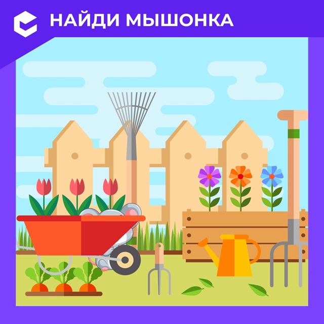 Foto 0811 09062025
