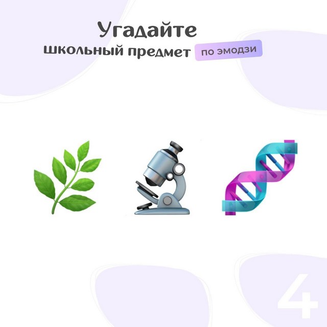 foto 2025 06 09 11 52 004