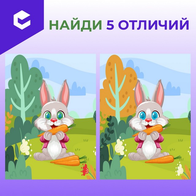 foto 2025 07 18 10 16 002