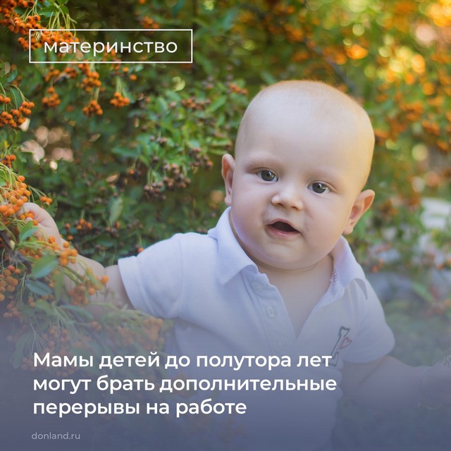 Foto 2025 08 13 19 46 006