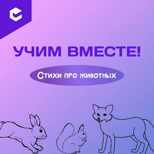 Foto 2025 08 13 19 59 001