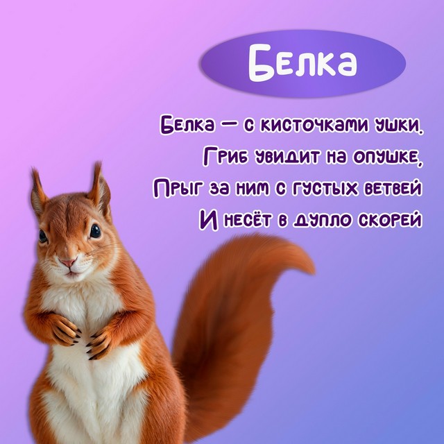 Foto 2025 08 13 19 59 002