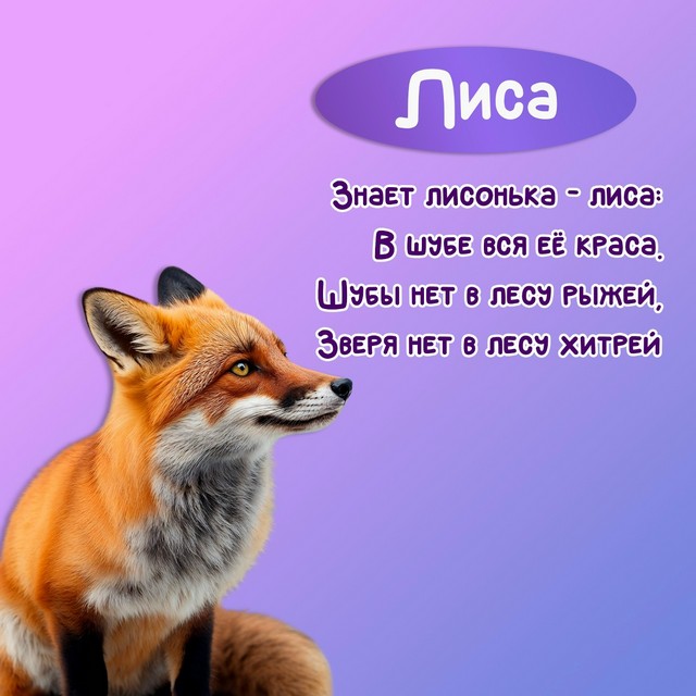 Foto 2025 08 13 19 59 003