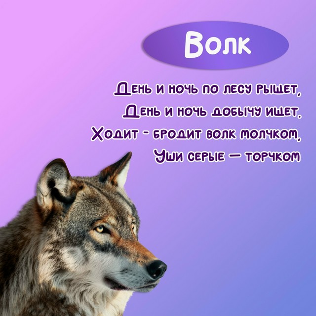 Foto 2025 08 13 19 59 004