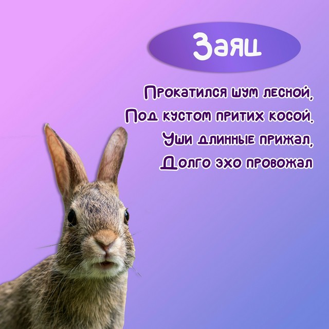 Foto 2025 08 13 19 59 005