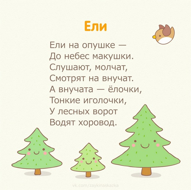 foto 2025 08 11 08 25 009
