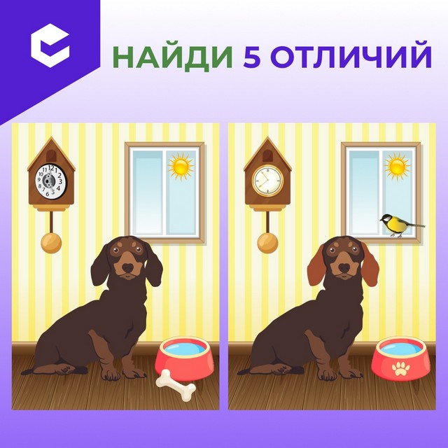 foto 2025 08 11 08 27 002