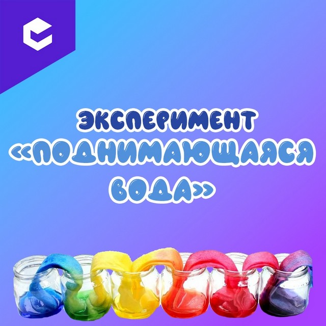 foto 2025 08 11 08 31 001