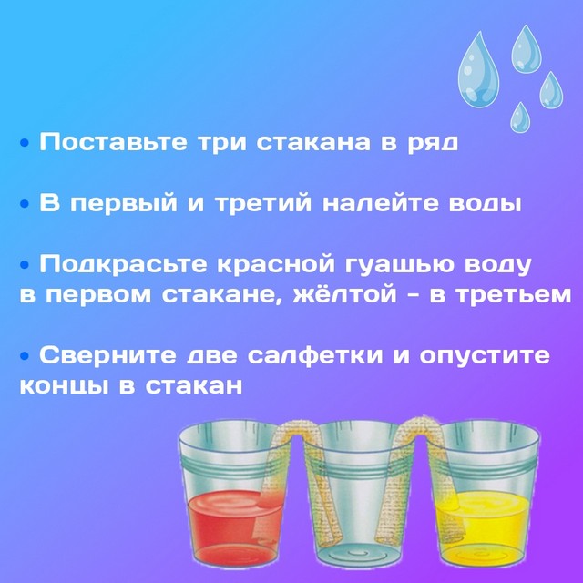 foto 2025 08 11 08 31 002