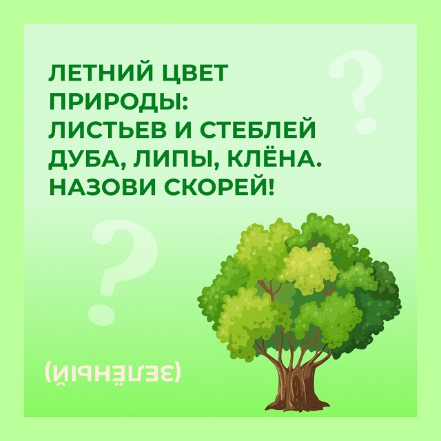 foto 21 05 2025 20 18 1