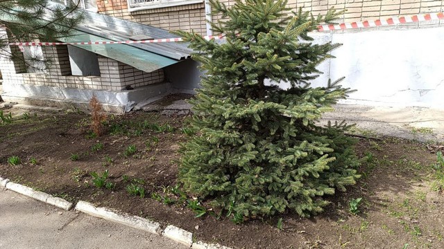 foto 2025 03 18 14 22 5